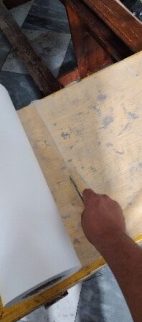 assunta_ee2 assunta_ee2