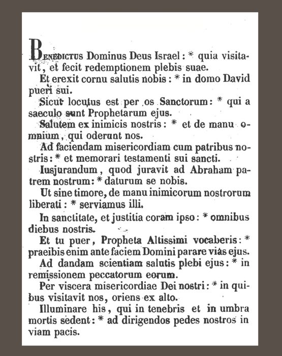 benedictusCC_1857